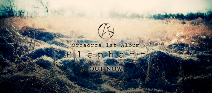 Elephant OUT NOW