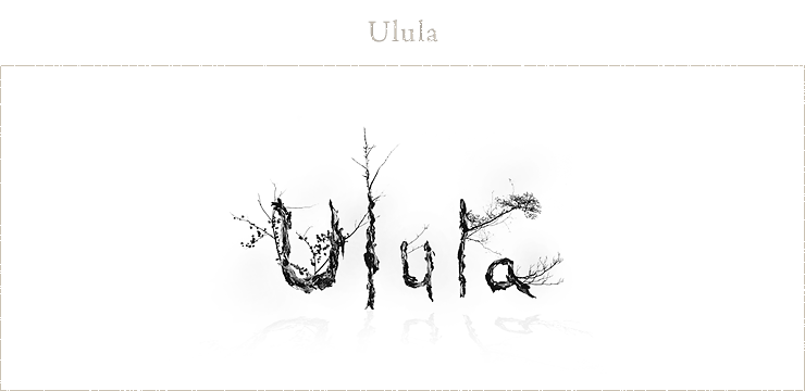 Ulula